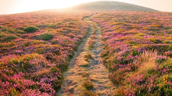 Cider House at Nutcombe Cottages - Photo 38