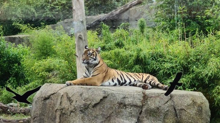 James's Parlour with exclusive use of shared Indoor Swimming Pool, Sports Court & Play Area - Photo 18