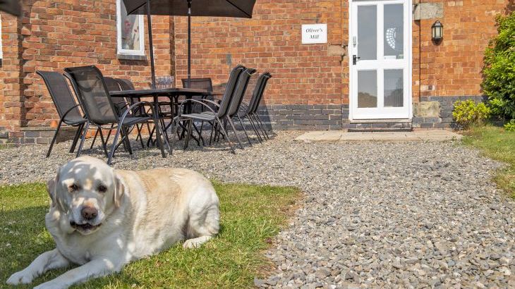 Oliver's Mill with shared Indoor Pool, Sports Court & Play Area - Photo 21