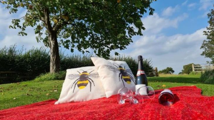 Oliver's Mill with shared Indoor Pool, Sports Court & Play Area - Photo 39