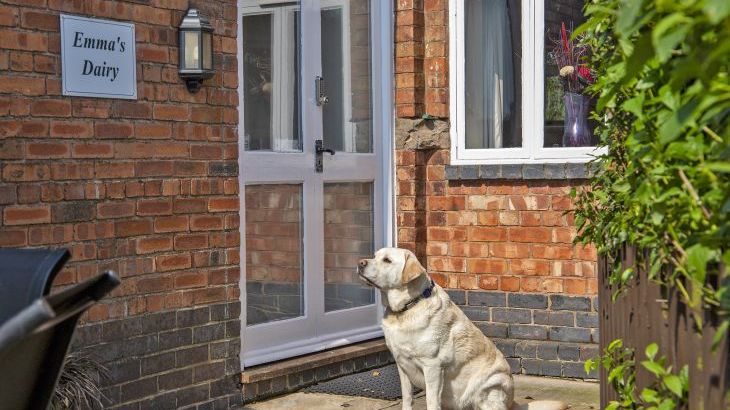 Emma's Dairy - With Indoor Pool, Sports Area & Under 5yrs play area included - Photo 21