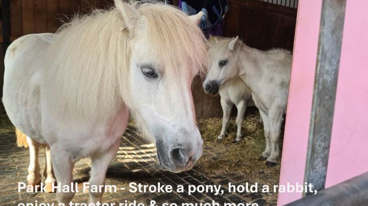 Buttercups & Hayloft Sleeps & Dines 16 with Pool, Sports Court & Play Area - Photo 31
