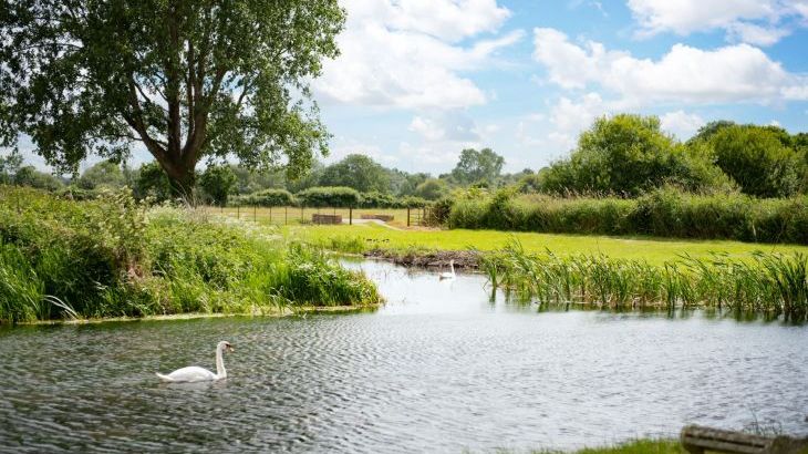 Tincleton Lodge - Photo 45