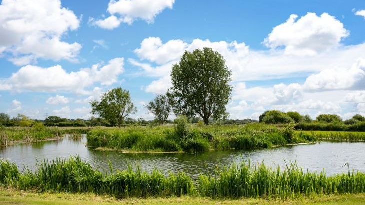 Tincleton Lodge - Photo 46