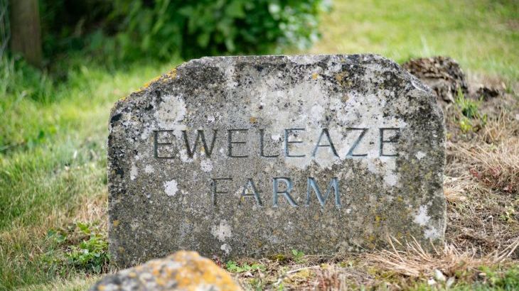 Tincleton Lodge - Photo 54