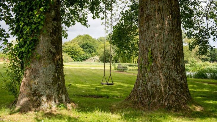 Tincleton Lodge - Photo 56