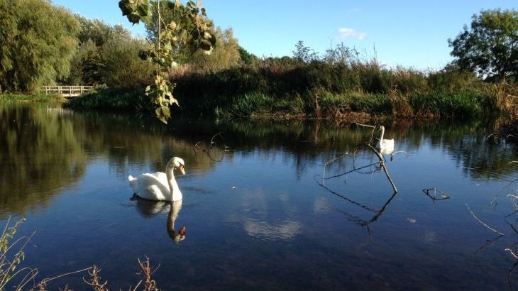 Tincleton Lodge - Photo 5