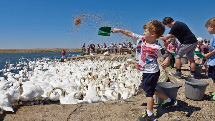 Symondsbury Manor - Photo 23