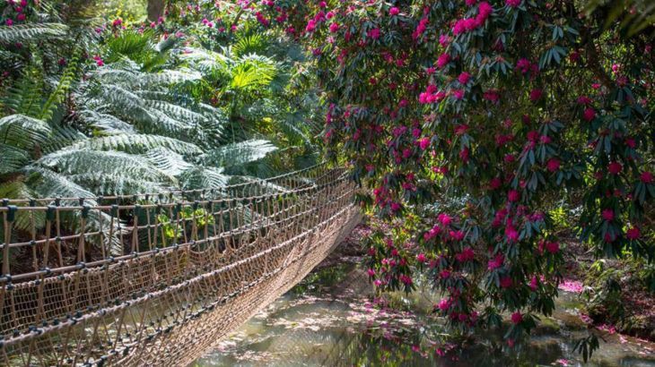 Symondsbury Manor - Photo 24