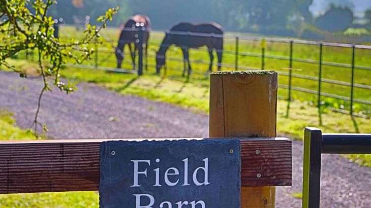 Field Barn sleeps 2, with a private Steam Room! - Photo 2