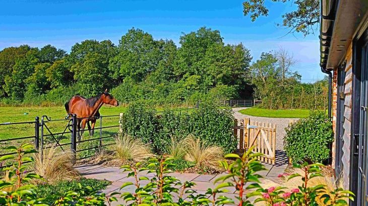 Field Barn sleeps 2, with a private Steam Room! - Photo 6