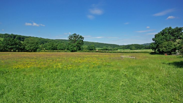 Field Barn sleeps 2, with a private Steam Room! - Photo 30