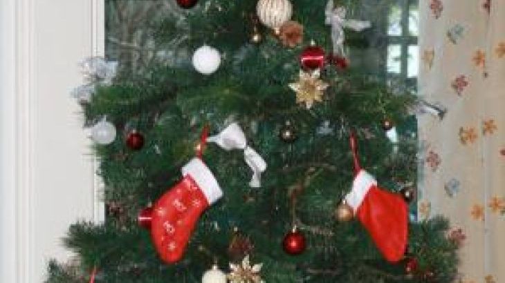 Ravensprings - Photo 61