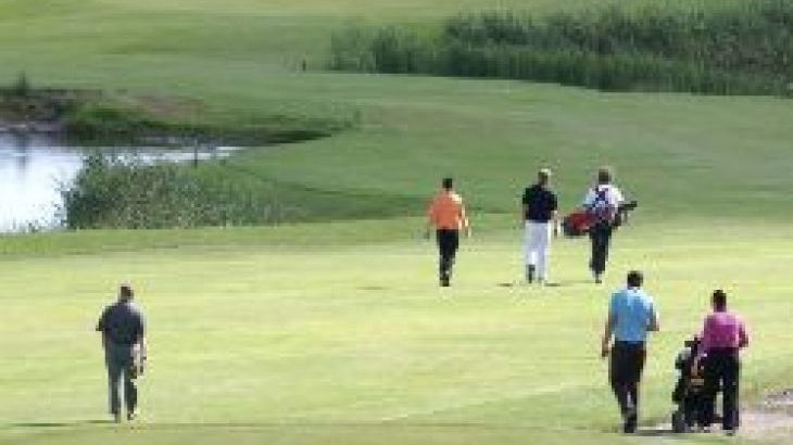 Ravensprings - Photo 62