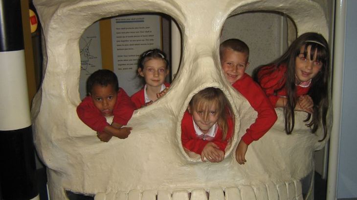 Ravensprings - Photo 65