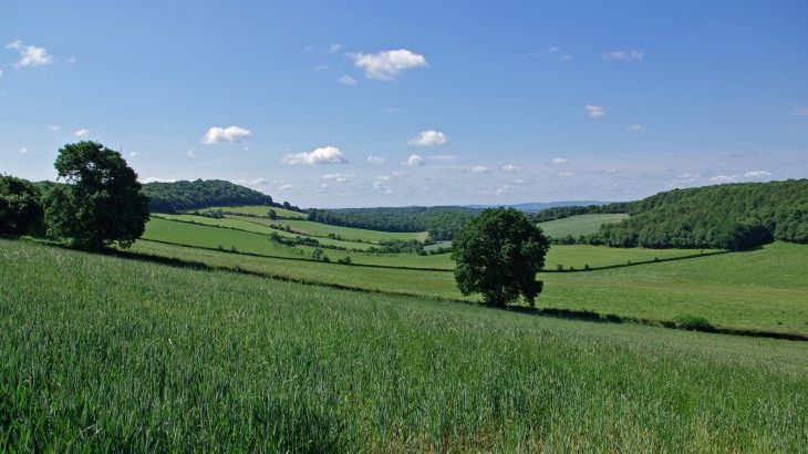 Sleeps 7+1, 5* lovely, clean Cottage with shared games room and lovely garden - Photo 18