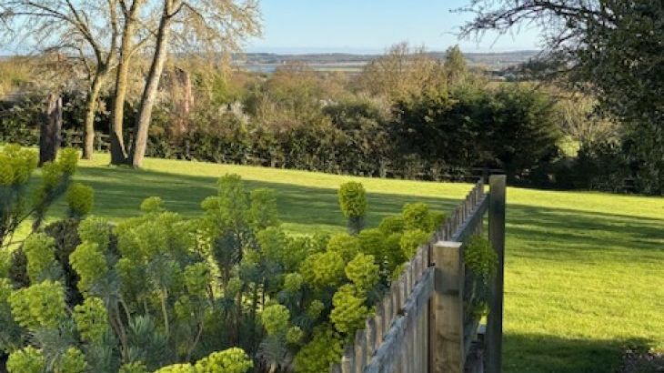 Petite Fleur - Photo 16