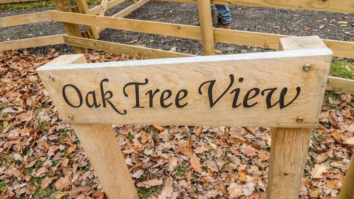 Oak Tree View - Photo 16