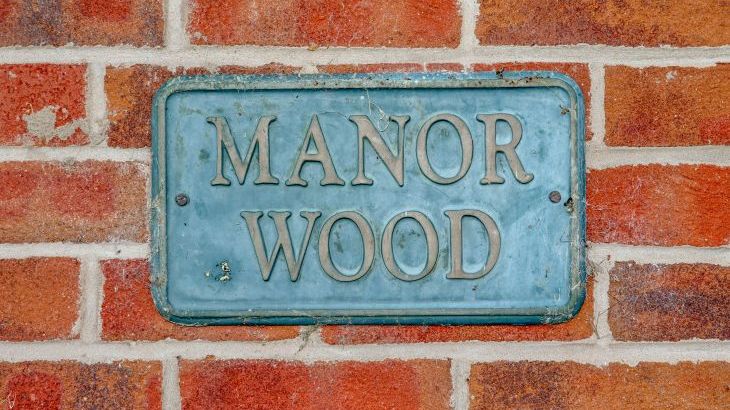 Manor Wood - Photo 32