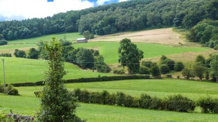 The Cow Shed - Photo 10