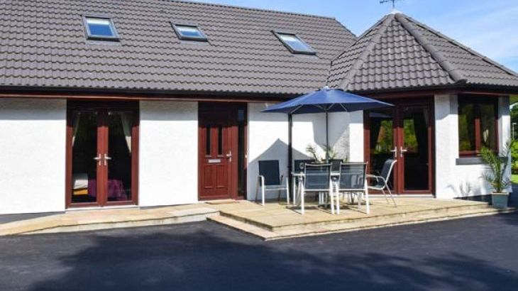 Little Chestnut - Main Photo