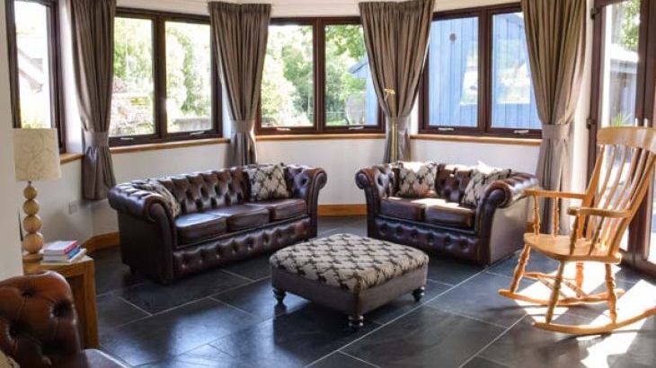 Little Chestnut - Photo 2