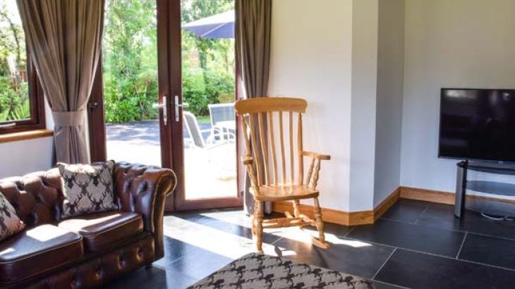 Little Chestnut - Photo 3