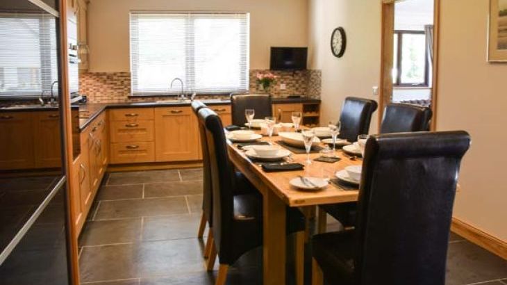 Little Chestnut - Photo 5