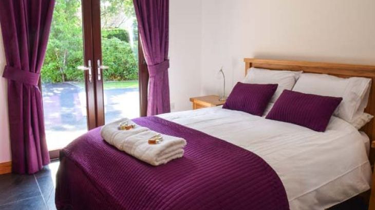 Little Chestnut - Photo 6