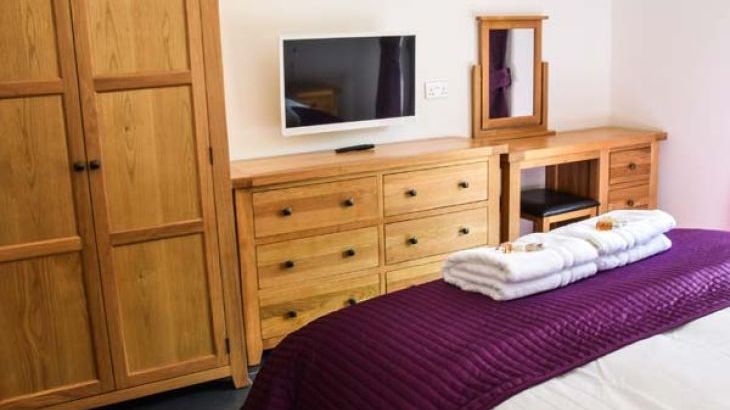 Little Chestnut - Photo 7