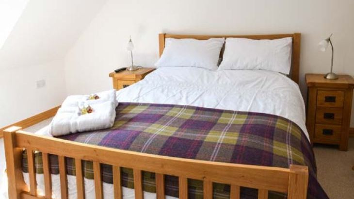 Little Chestnut - Photo 8