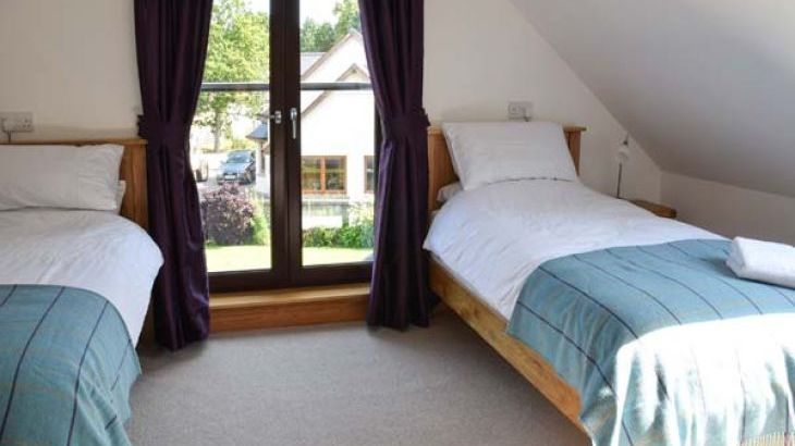 Little Chestnut - Photo 9