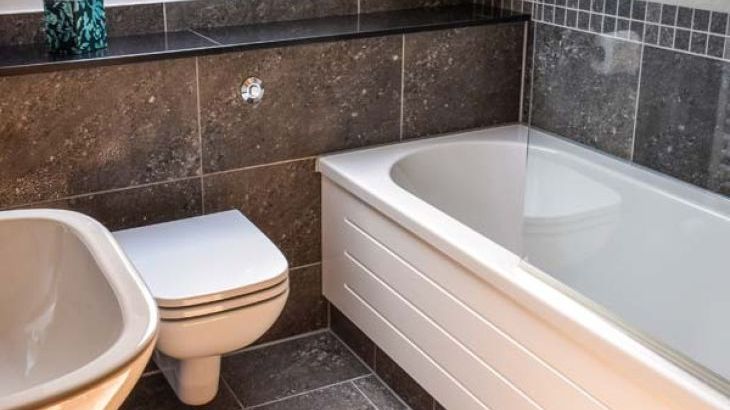 Little Chestnut - Photo 11