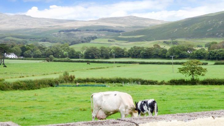 Fell View Cottage - Photo 1