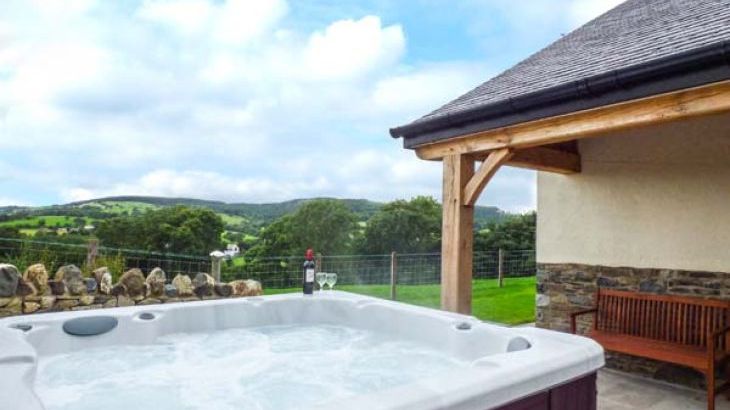 Tyn Y Celyn Uchaf - Photo 3