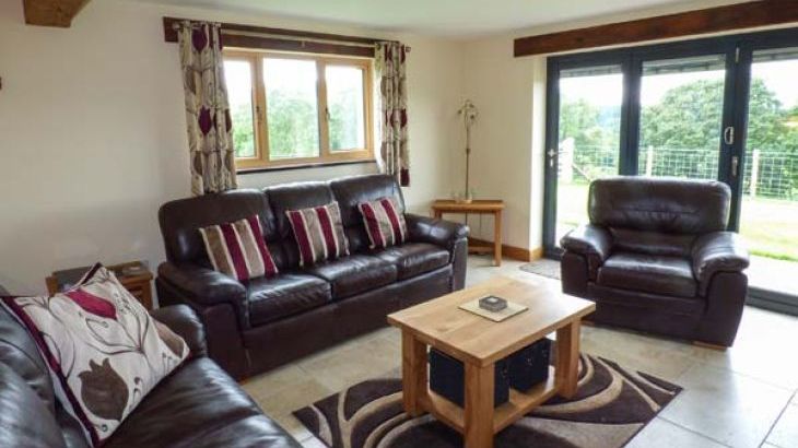 Tyn Y Celyn Uchaf - Photo 9