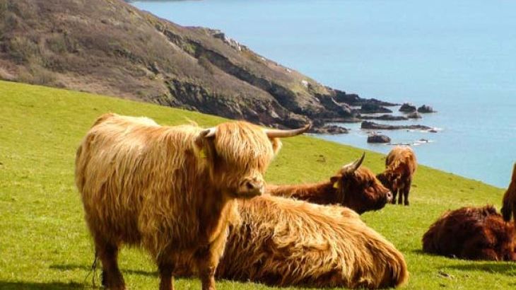 Dartmoor Valley Lodge - Photo 29