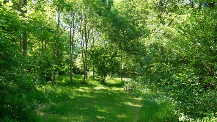 Mill Cottage - Photo 30