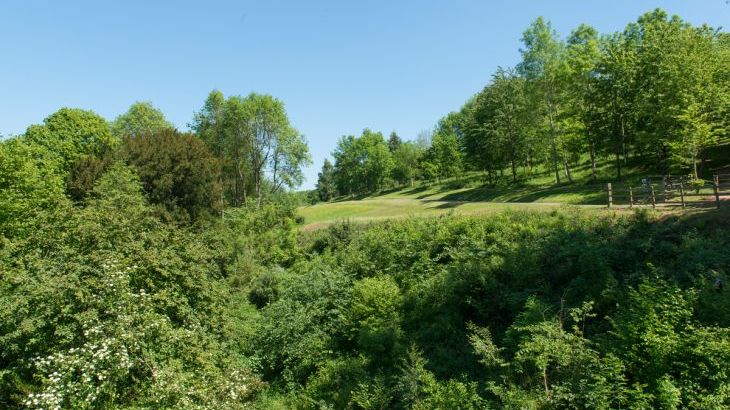 Mill Cottage - Photo 36