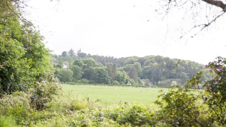 Mr McGregors' Cottage - Photo 14