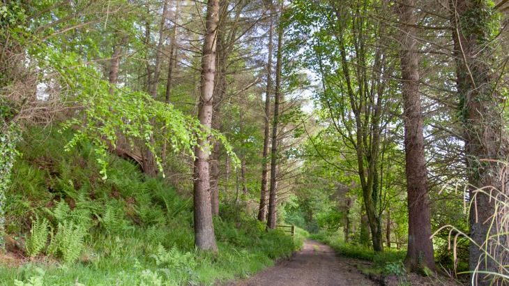 Mr McGregors' Cottage - Photo 19