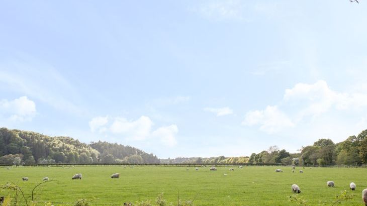 Mr McGregors' Cottage - Photo 24