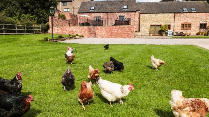 Manor Barn - Photo 17