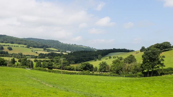 Tyn Y Celyn Isaf - Photo 61