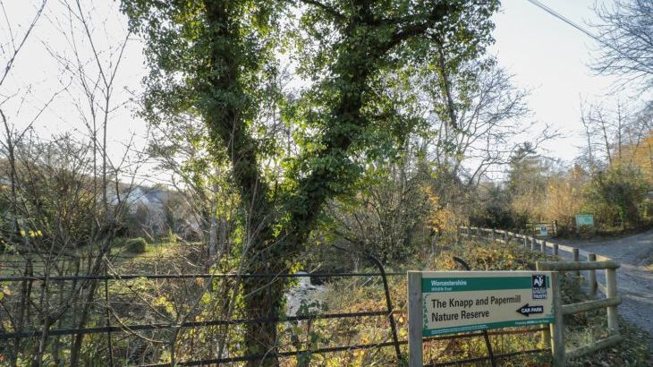 Lower Tundridge Cottage - Photo 37