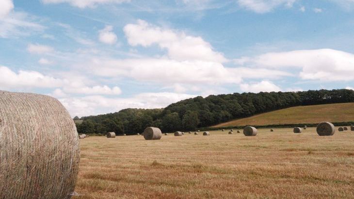 Lower Tundridge Cottage - Photo 34