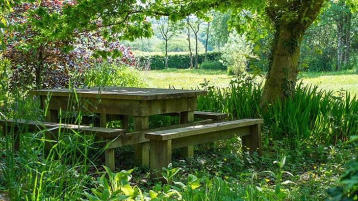 Parnacott - Photo 25