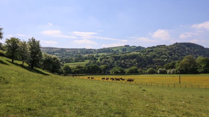 Pen Y Maes - Photo 19