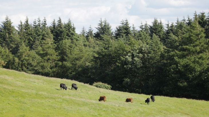 Lake Farm Cottage - Photo 13