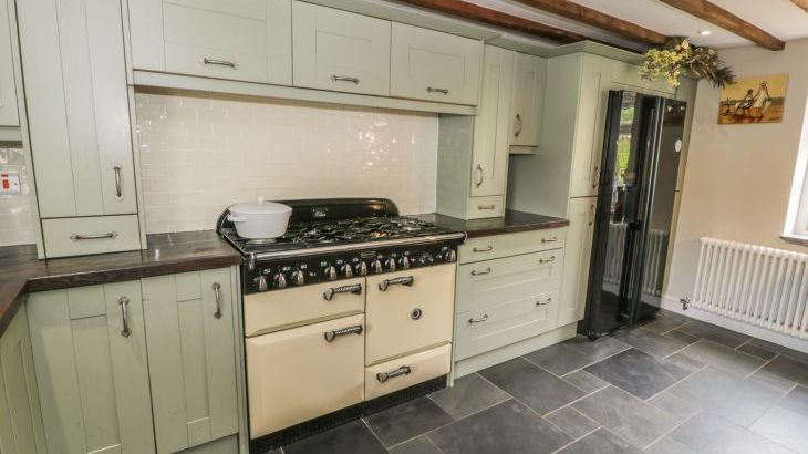 Plas Mawr - Photo 10